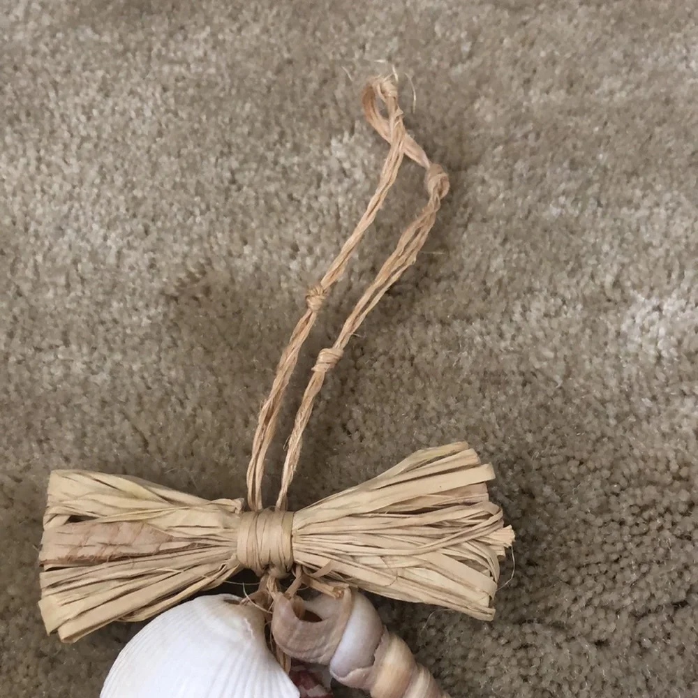 2 for $12! Seashell and raffia hanging doorway decor (set of 2) - Picture 11 of 14